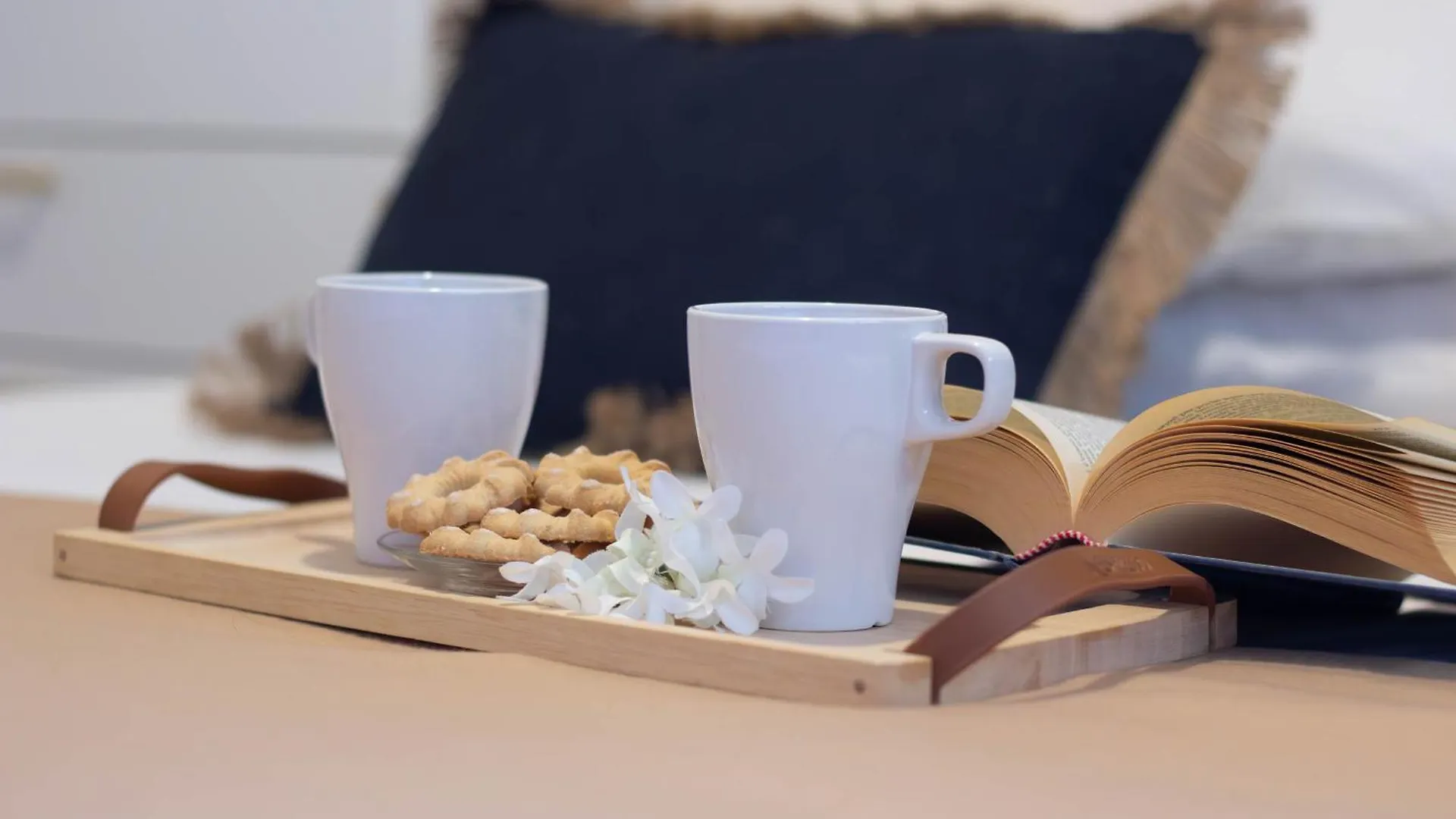 Apartment Le Pleiadi By Portofinovacanze Rapallo Italy